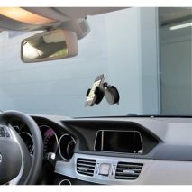 ΒΑΣΗ ΣΤΗΡΙΞΗΣ ΚΙΝΗΤΟΥ PROTEUS ΜΕ ΒΕΝΤΟΥΖΑ ΓΙΑ ΑΕΡΑΓΩΓΟ/ΤΑΜΠΛΟ/ΤΖΑΜΙ ΠΑΡ-ΜΠΡΙΖ Auto Moto Tyres 