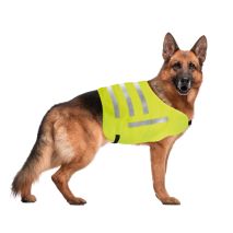 ΓΙΛΕΚΟ ΑΝΑΚΛΑΣΤΙΚΟ ΑΣΦΑΛΕΙΑΣ L ΚΙΤΡΙΝΟ ΦΩΣΦΟΡΙΖΕ ΓΙΑ ΣΚΥΛΟΥΣ (35 X 39 X 53 cm) Auto Moto Tyres 