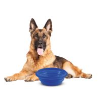 ΤΑΪΣΤΡΑ/ΜΠΟΛ ΤΑΞΙΔΙΟΥ PET TRAVEL BOWL 2000 ml ΓΙΑ ΣΚΥΛΟΥΣ/ΓΑΤΕΣ/ΚΑΤΟΙΚΙΔΙΑ ΖΩΑ (ΣΙΛΙΚΟΝΗ/ΔΙΑΦΟΡΑ ΧΡΩΜΑΤΑ) Auto Moto Tyres 