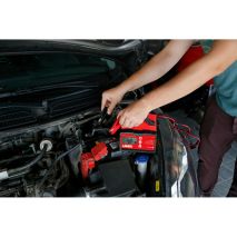 ΦΟΡΤΙΣΤΗΣ ΜΠΑΤΑΡΙΑΣ PROCHARGER EVO 8STEP 12/24V 2/5/10A 5>120Ah LCD  LAMPA - 1 ΤΕΜ. Auto Moto Tyres 