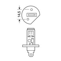 H1 ΑΛΟΓΟΝΟΥ 12V/55W Auto Moto Tyres 