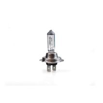 H7 24V 70W PX26d STANDARD ΑΛΟΓΟΝΟΥ ΚΟΥΤΙ 1ΤΕΜ. M-TECH Auto Moto Tyres 