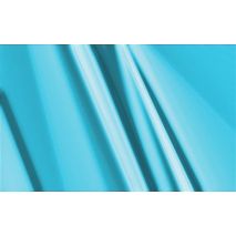 ΣΠΡΕΥ ΓΙΑ ΖΑΝΤΕΣ (Μπλε) Auto Moto Tyres 