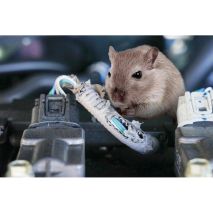 ΑΠΩΘΗΤΙΚΟ ΤΡΩΚΤΙΚΩΝ ΜΕ ΥΠΕΡΗΧΟΥΣ 12V 50-70mA 22-45KhZ 0.6W Auto Moto Tyres 