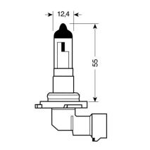 H10 12V/42W/PY20d ΑΛΟΓΟΝΟΥ Auto Moto Tyres 