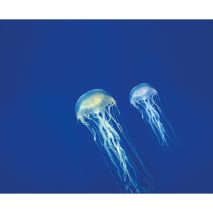 AFTER BITE ΓΙΑ ΜΕΤΑ ΤΟ ΤΣΙΜΠΗΜΑ ΣΤΙΚ 16ml Auto Moto Tyres 