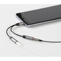 ΚΑΛΩΔΙΟ ΗΧΟΥ JACK 3,5mm 10cm ΑΠΟ ΜΟΝΟ ΑΡΣΕΝΙΚΟ ΣΕ ΔΙΠΛΟ ΘΗΛΥΚΟ AUX SPLITTER  SILVER LINE Auto Moto Tyres 