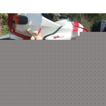 ΙΜΑΝΤΕΣ ΣΥΓΚΡΑΤΗΣΗΣ/ΔΕΣΙΜΑΤΟΣ ΠΡΑΓΜΑΤΩΝ ΕΛΑΣΤΙΚΟΣ/ΡΥΘΜΙΖΟΜΕΝΟΣ 15cm/650N/65kg  ΜΑΥΡΟ FIXPLUS LAMPA - 2 TEM. Auto Moto Tyres 