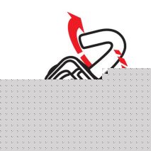 ΙΜΑΝΤΑΣ ΔΕΣΙΜΑΤΟΣ ΜΕ ΚΑΣΤΑΝΙΑ 50mmX250cm max5.000kg 1ΤΕΜ. Auto Moto Tyres 