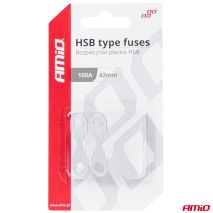 ΑΣΦΑΛΕΙΕΣ FLAT 42mm 100A AMIO - 2 Τεμ. Auto Moto Tyres 