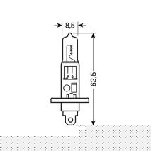 H1 ΑΛΟΓΟΝΟΥ 12V/100W 62.5mm P14,5s ΤΕΜ1 Auto Moto Tyres 