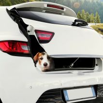 ΓΑΝΤΖΟΣ ΜΕΤΑΛΛΙΚΟΣ AIR-FLOW ΓΙΑ ΝΑ ΜΕΝΕΙ ΑΝΟΙΧΤΟ ΤΟ ΠΟΡΤ ΠΑΓΚΑΖ ΠΤΥΣΣΟΜΕΝΟΣ 21,5-24,0cm ΓΙΑ ΣΚΥΛΟΥΣ Auto Moto Tyres 