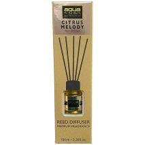 Αρωματικό Χώρου Citrus Melody Home Reed Diffuser με 6 Στικς Aqua 100 ml - 1 τμχ Auto Moto Tyres 