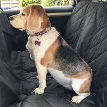 ΚΑΛΥΜΜΑ ΚΑΘΙΣΜΑΤΟΣ ΓΙΑ ΚΑΤΟΙΚΙΔΙΑ - DOG SEAT COVER Auto Moto Tyres 