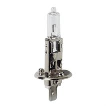 H1 24V 70W PRO-SERIES Αλογόνου 1 τεμ. Auto Moto Tyres 