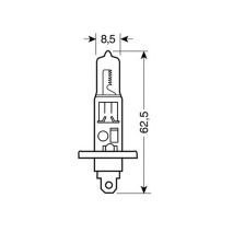 H1 ΑΛΟΓΟΝΟΥ 12V/100W 62.5mm P14,5s ΤΕΜ1 Auto Moto Tyres 