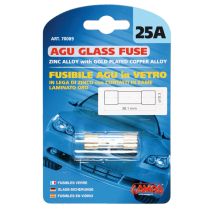 ΑΣΦΑΛΕΙΕΣ  AGU 25A Auto Moto Tyres 