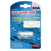 ΑΣΦΑΛΕΙΕΣ  AGU 30A Auto Moto Tyres 