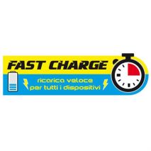 ΑΥΤΟΝΟΜΟΣ ΦΟΡΤΙΣΤΗΣ ΜΠΑΤΑΡΙΑΣ USB-MICRO USB ΧΡΥΣΟΣ Auto Moto Tyres 