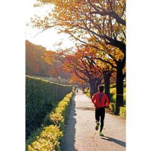 ΘΗΚΗ ΚΙΝΗΤΟΥ ΧΕΙΡΟΣ ARM BAND L ΜΑΧ 5,5 INCH ΜΑΥΡΗ ΜΕ ΕΛΑΣΤΙΚΟ ΙΜΑΝΤΑ ΚΑΙ VELCRO LAMPA - 1 ΤΕΜ. Auto Moto Tyres 