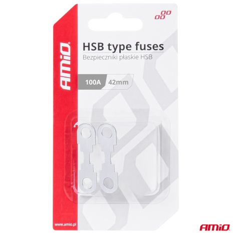 ΑΣΦΑΛΕΙΕΣ FLAT 42mm 100A AMIO - 2 Τεμ. Auto Moto Tyres 