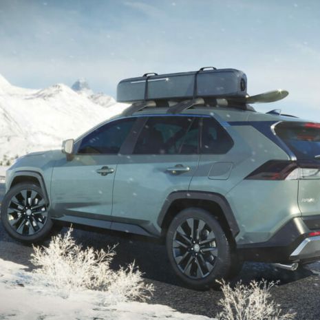 ΦΟΥΣΚΩΤΕΣ ΜΠΑΡΕΣ ΟΡΟΦΗΣ HANDIRACK HANDIWORLD (ΜΑΥΡΕΣ ΜΕ ΑΝΤΛΙΑ) - 2 ΤΕΜ. Auto Moto Tyres 