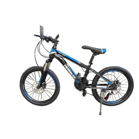 ΠΟΔΗΛΑΤΟ 20'' 114x19x64cm ΜΠΛΕ - 1 TEM. Auto Moto Tyres 