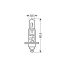 H1 ΑΛΟΓΟΝΟΥ 12V/55W 62.5mm P14,5s ΛΑΜΠΑ Auto Moto Tyres 