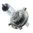 HS1 12V 35W PX43t STANDARD ΑΛΟΓΟΝΟΥ ΚΟΥΤΙ 1ΤΕΜ. Auto Moto Tyres 