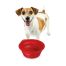 ΤΑΪΣΤΡΑ/ΜΠΟΛ ΤΑΞΙΔΙΟΥ PET TRAVEL BOWL 500 ml ΓΙΑ ΣΚΥΛΟΥΣ/ΓΑΤΕΣ/ΚΑΤΟΙΚΙΔΙΑ ΖΩΑ (ΣΙΛΙΚΟΝΗ/ΔΙΑΦΟΡΑ ΧΡΩΜΑΤΑ) Auto Moto Tyres 